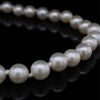 14kt Yellow Gold Akoya Pearl Bracelet (5mm)