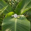 14kt Two-Tone Gold Oval Diamond Halo Engagement Ring