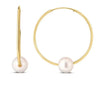 14kt Yellow Gold and Pearl Hoop Earrings