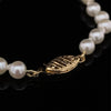 14kt Yellow Gold Akoya Pearl Bracelet (5mm)