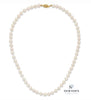 14kt Yellow Gold Akoya Pearl Strand Necklace