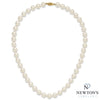 14kt Yellow Gold Akoya Pearl Necklace (18")