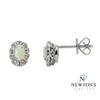 14kt White Gold Ethiopian Opal Ear Studs